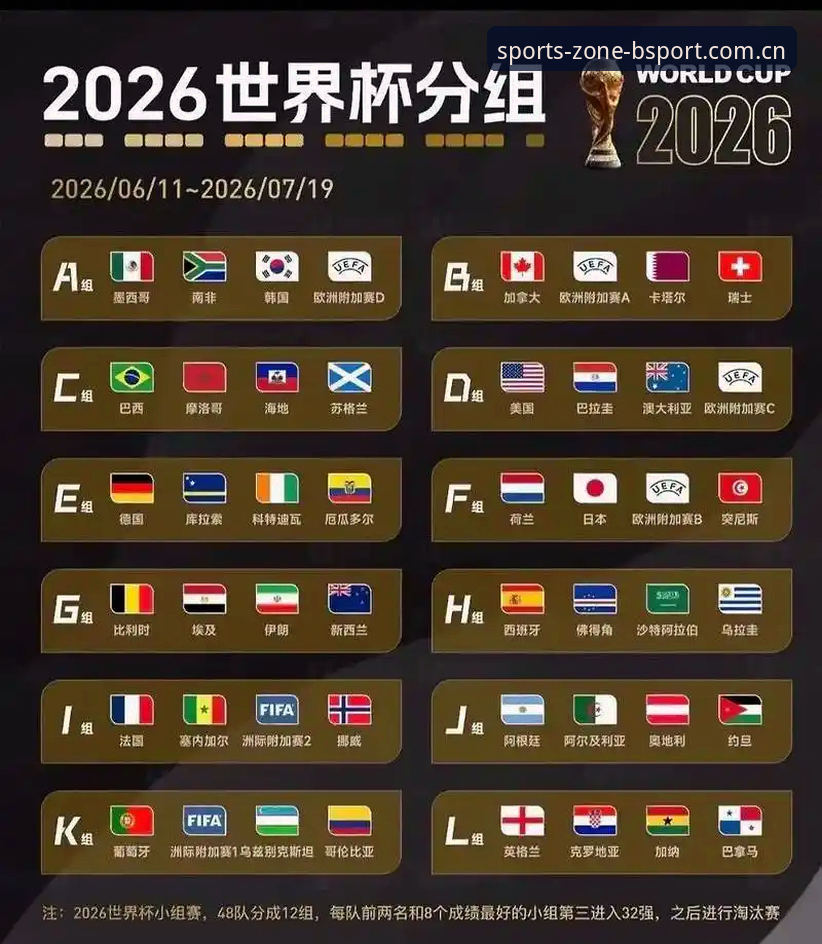 2026世界杯观赛危机深度分析：签证困局如何影响全球球迷的赴美之旅