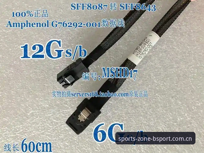 BSport稳定流畅 vs 卡顿掉线：体育投注平台的选择困境全面对比